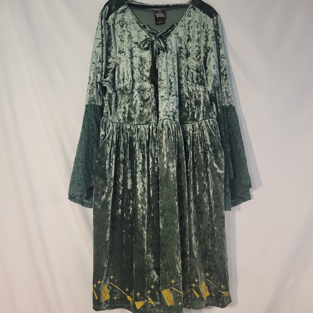 Disney Hocus Pocus Green Dress 3x PLUS Host Pick